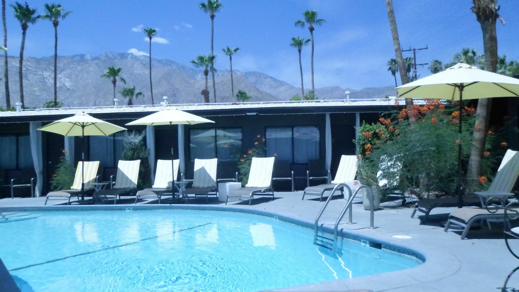Avanti Hotel Palm Springs Extérieur photo