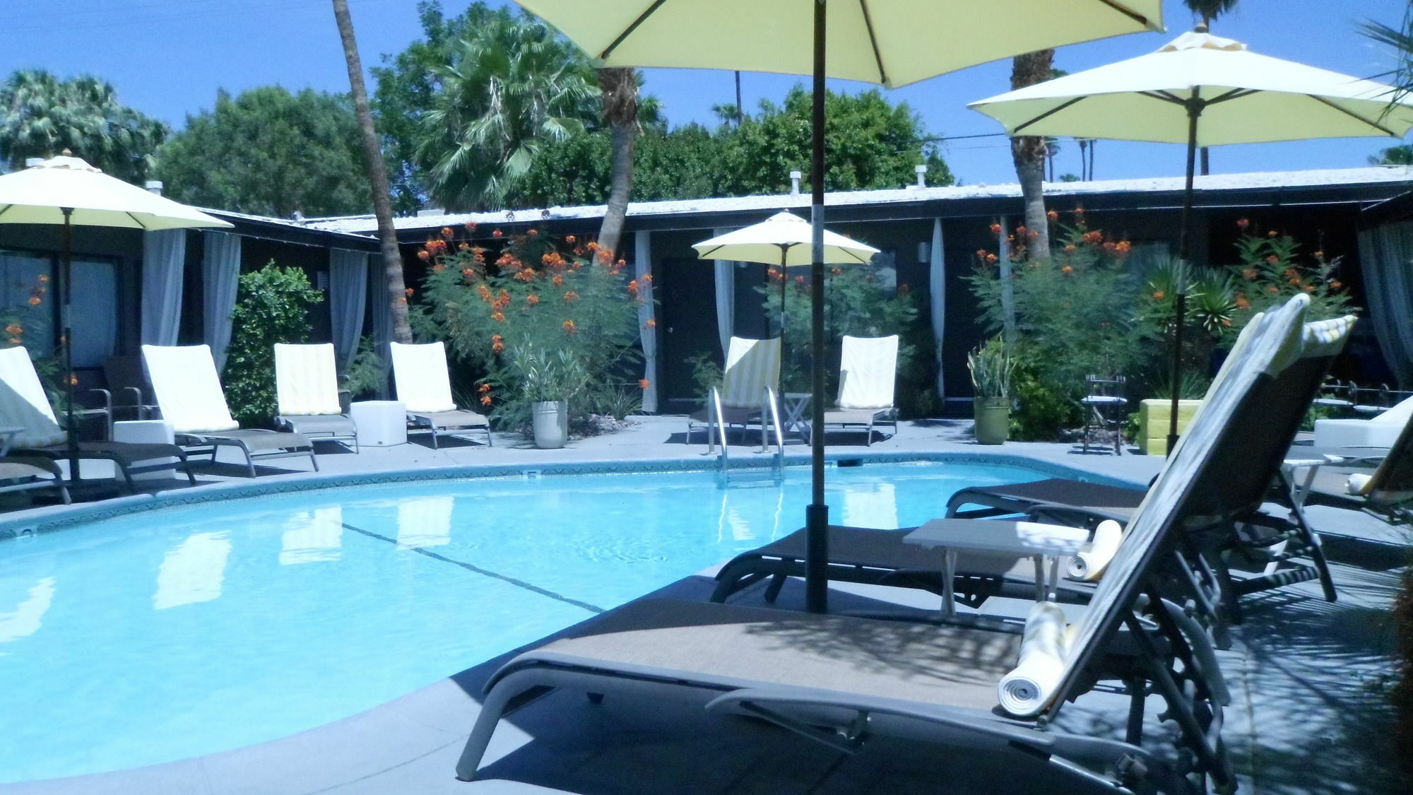 Avanti Hotel Palm Springs Extérieur photo