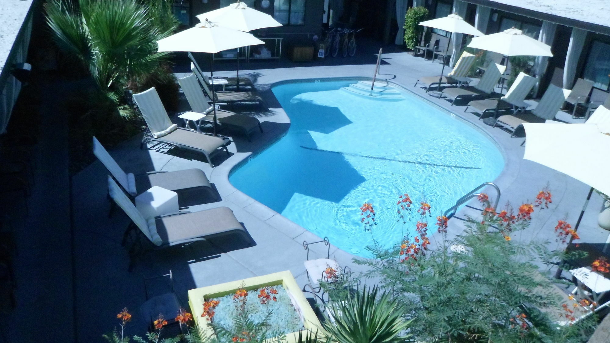 Avanti Hotel Palm Springs Extérieur photo