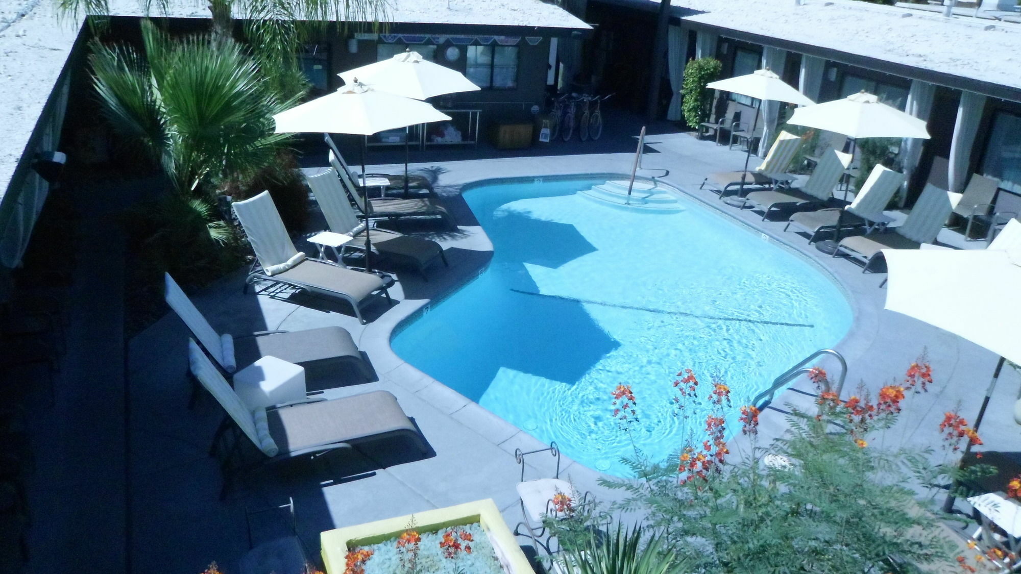 Avanti Hotel Palm Springs Extérieur photo